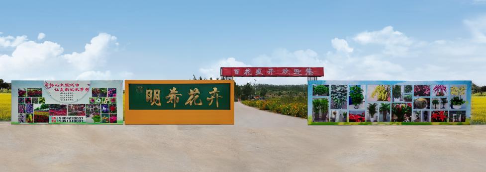 360截图1619082054103104.jpg
