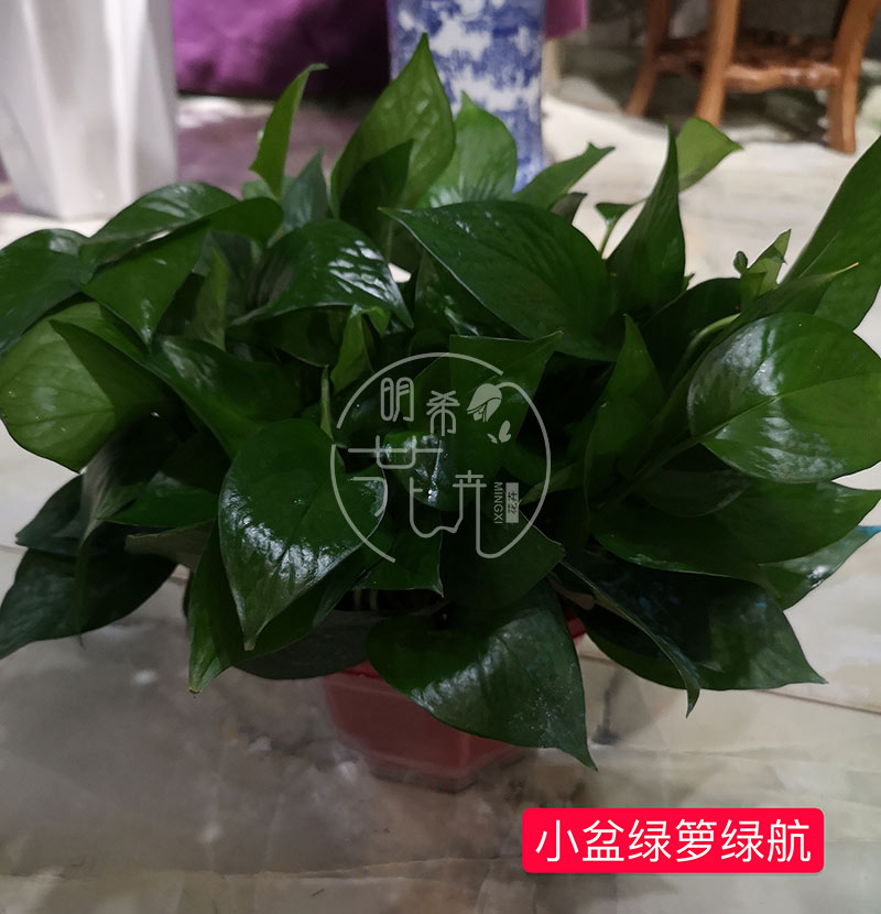 微信图片_202203250904025.jpg